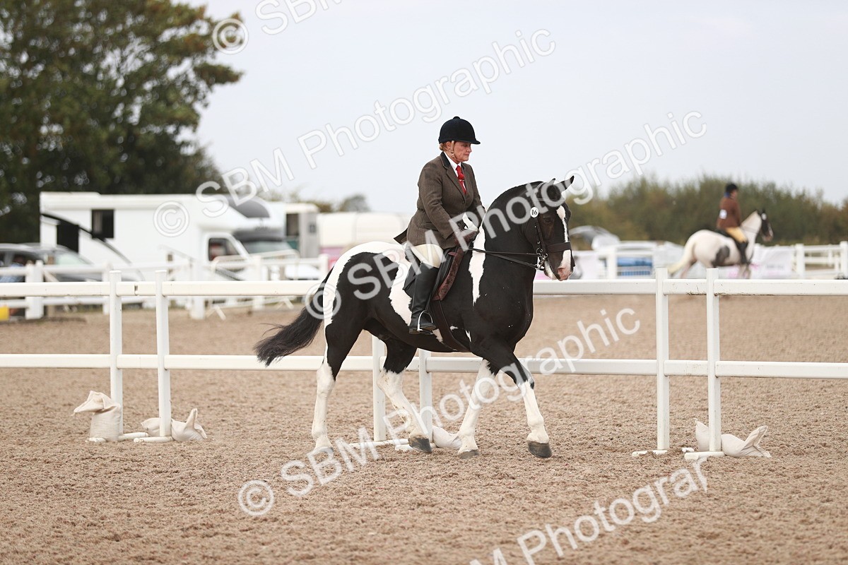 SBM_16609 - Class 214 Ridden Cob