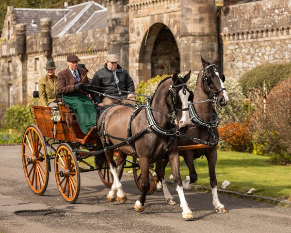 Anne -77 - Troon Easter Monday Drive 2026