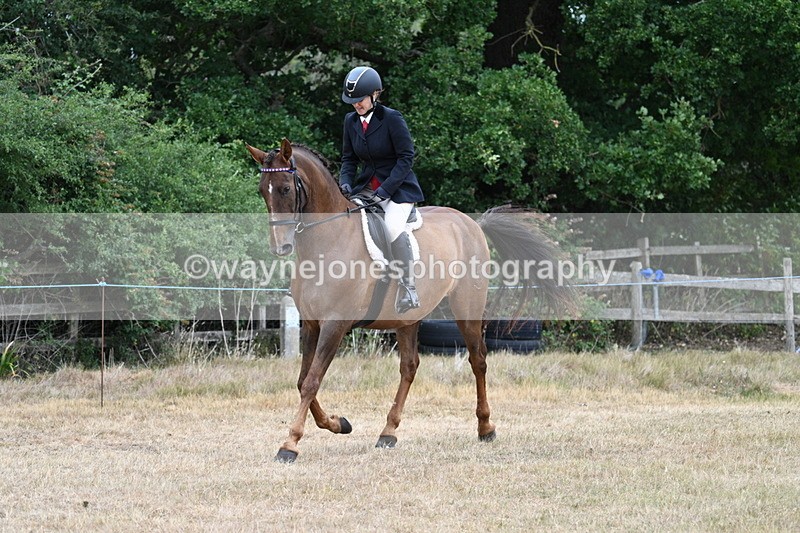 WJ7_0827 - Class 7 Riding Club Show Horse