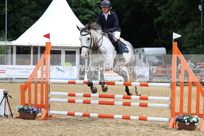 3E7A6513 - Class 4: Senior British Novice/90cm open