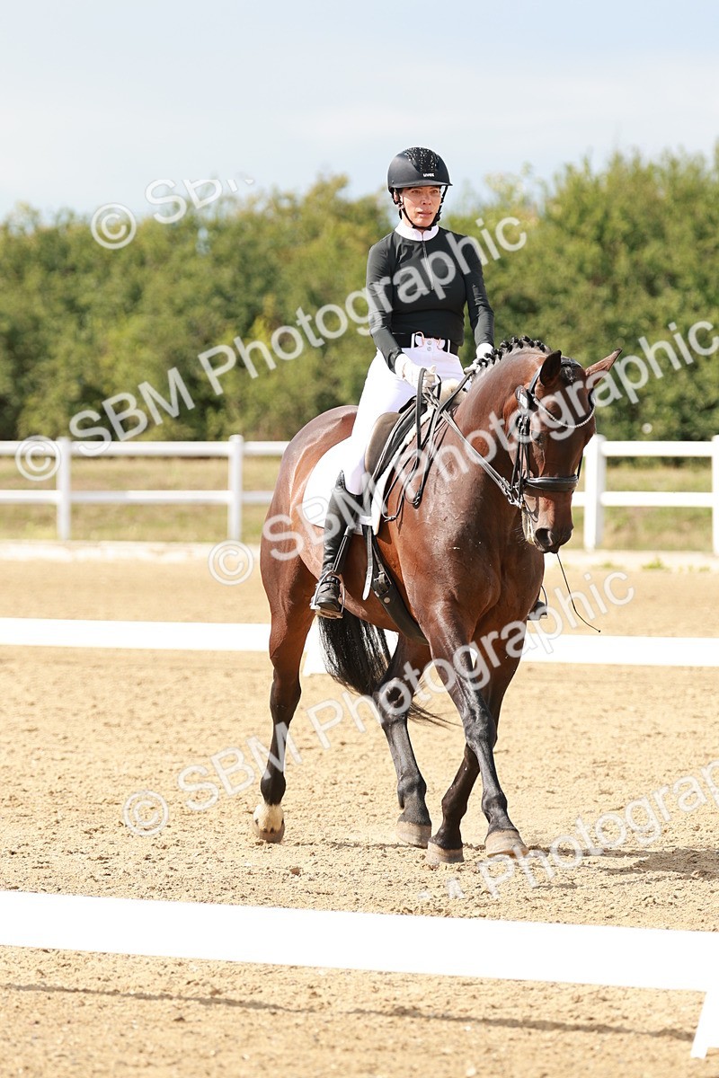 SBM_002479 - Class 11 - Medium 6