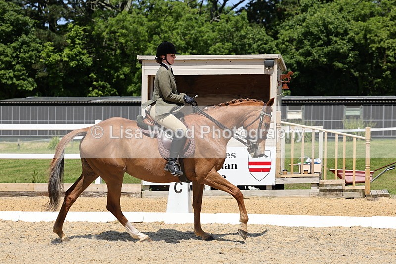1X9A1836 - Class 12: Ridden Riding Horse/Hack
