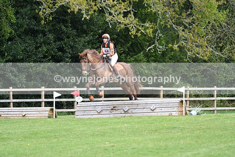 WJ7_5989 - 60cm Time 10:56 to 11:10