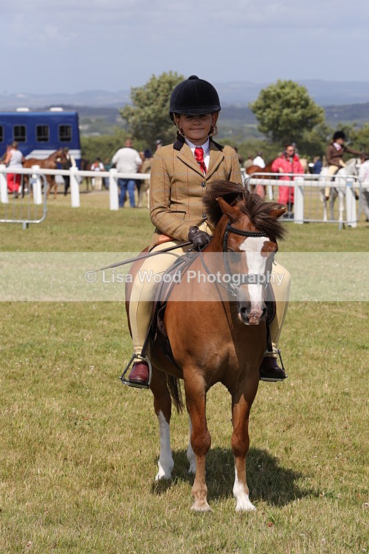 1X9A5445 - Class 37: NPS M&M First Ridden