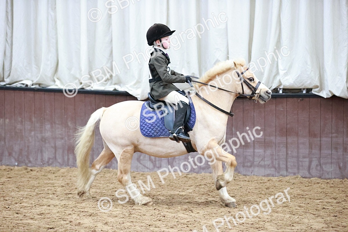 SBM_000390 - Class 2 - Show Jumping 50cm