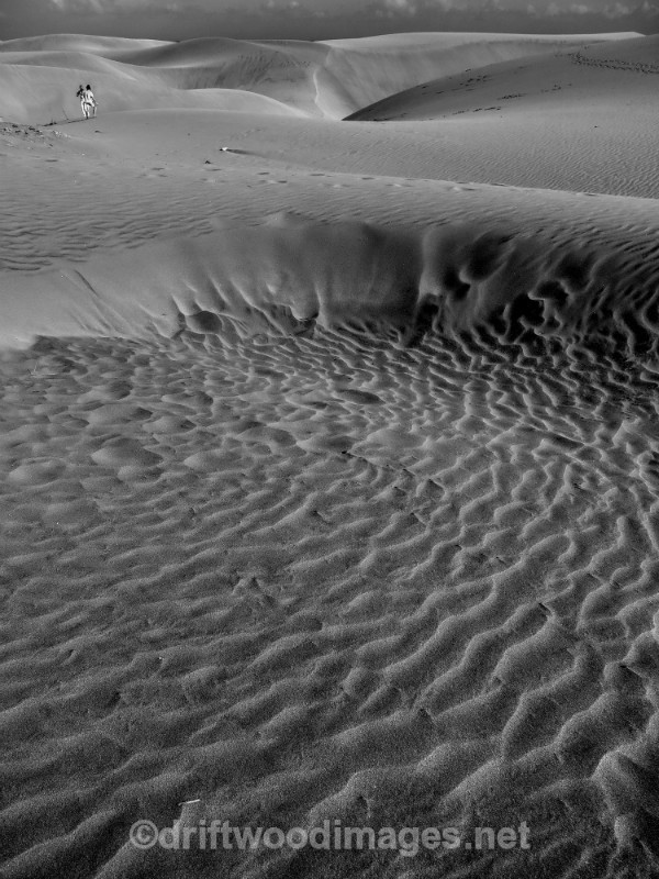 Gran Canaria sand dunes bw HDR - Gran Canaria