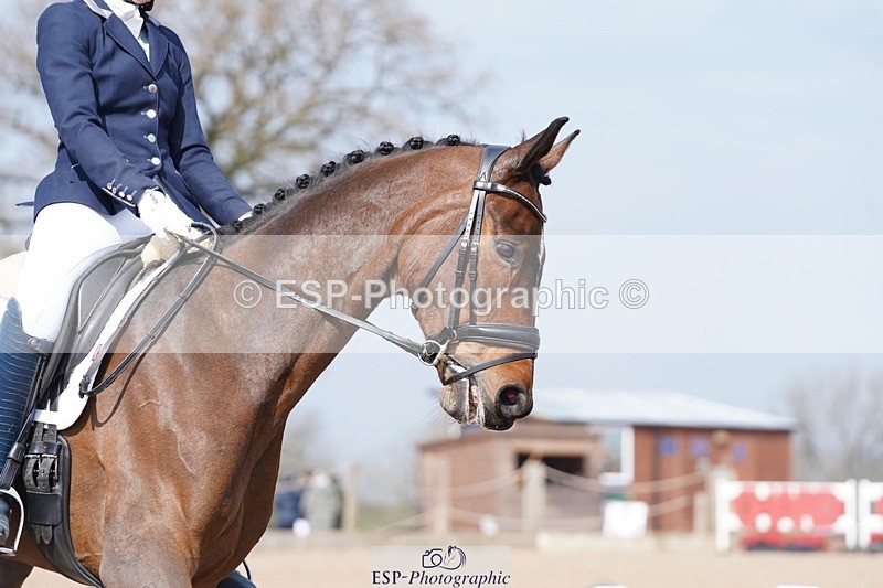 250403-115512-01788 - 013-Chloe.Dawes-Danibelle.Delicious