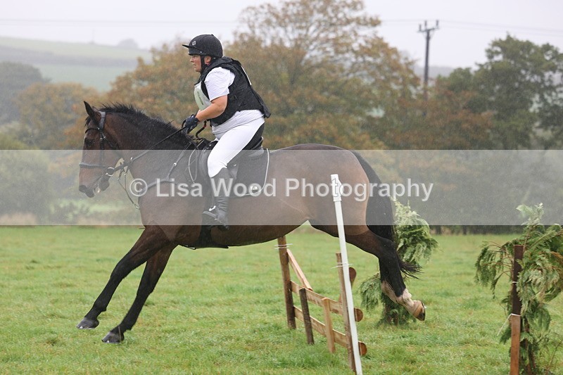 3E7A0799 - Class 1: 65cm: Rails