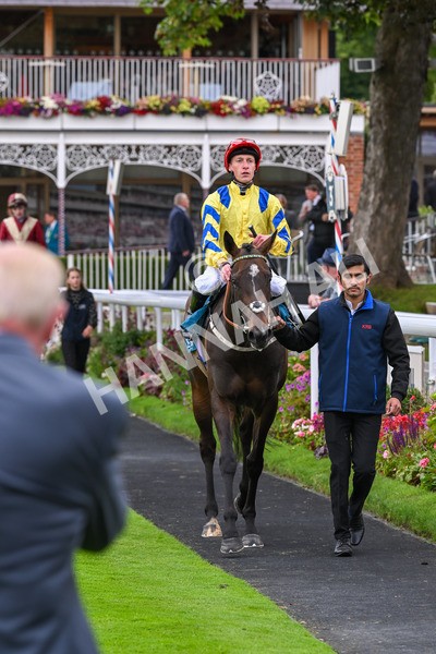 120724-Race 4-Karmology-6183 - Race 4 3.50pm Azets Handicap