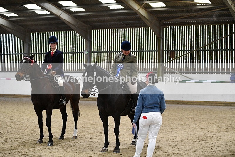 WJ5_8078 - Class 13 Ridden Part Breed