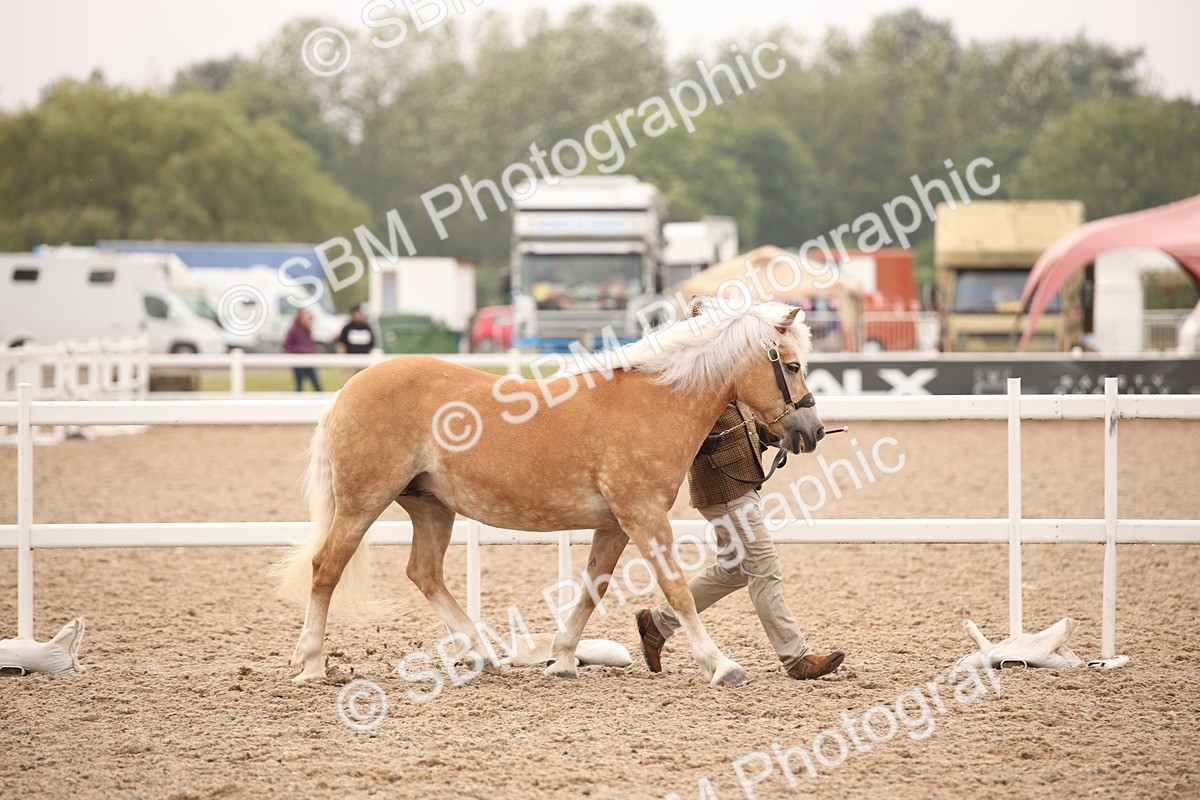 SBM_22102 - Class 707 - Ridden Groom-Helpers Class