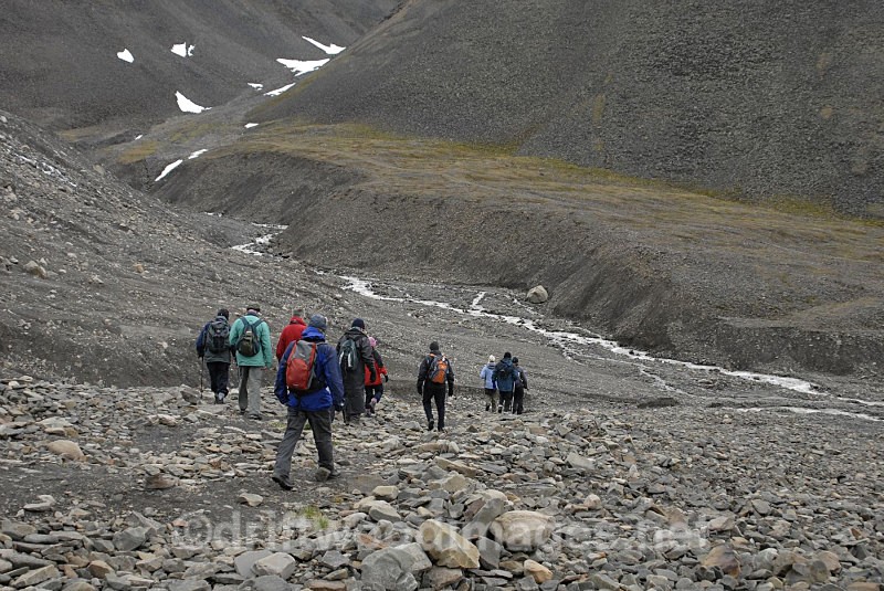 Moraine material near the snout of the Longyearbyen Glacier - Longyearbyen