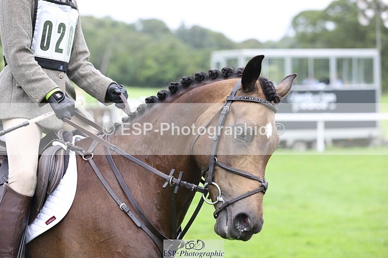 230805-121221-01896 - SJ 11.55 to 13