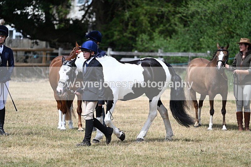 WJ7_1651 - Class 4 Prettiest Mare up to 14.2hh in hand