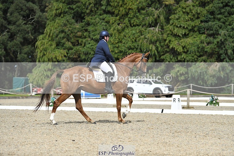 230812-154604-05199 - Cls 10 FEI Inter I Silver