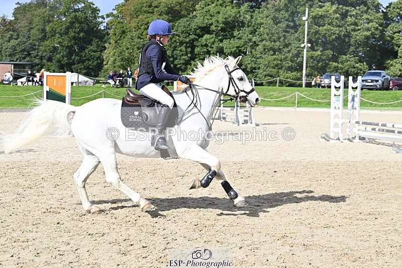 251005A-125412-03945 - Cls 08 Mini 70-75cm