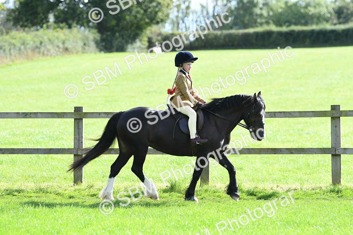 SBM_50269 - S21 - Novice & Newcomers 1st Ridden Pony