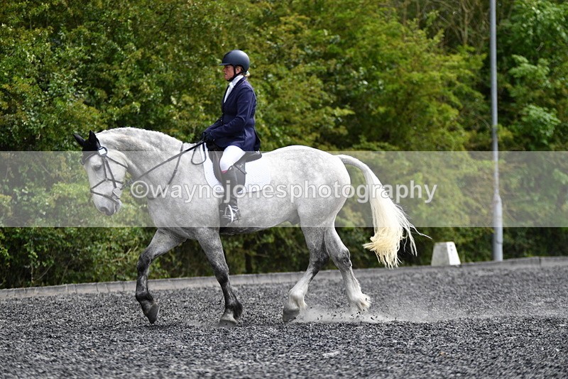 WJ5_2193 - Time 15:05 to 15:30