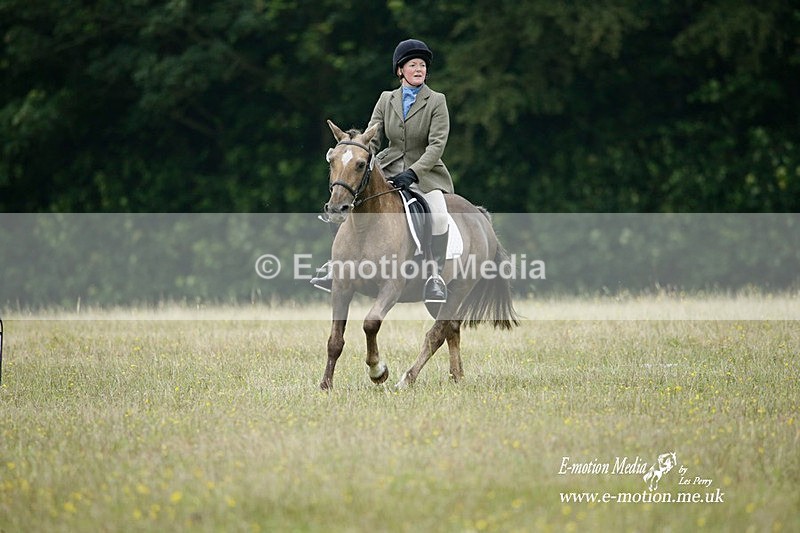 BVRC 030721 527 - Bourne Valley Riding Club Dressage 03/07/21