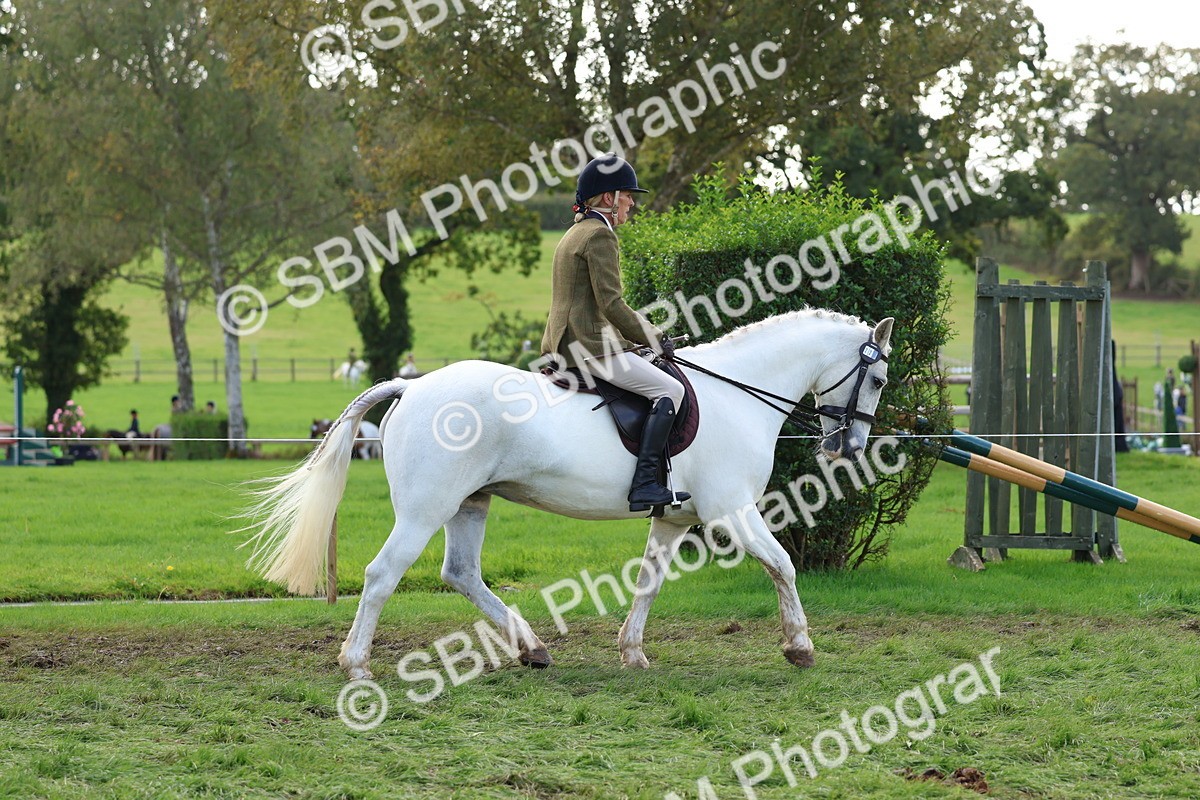 SBM_47609 - S28 - Veteran Ridden