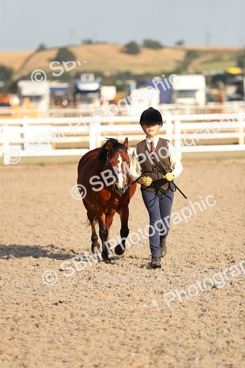 SBM_08988 - Class 29 IH Veteran Pony