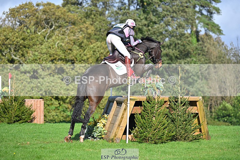 241025-114831-06774 - 056-Claire.Deuten-KILBUNNY.BLUE.BIRD