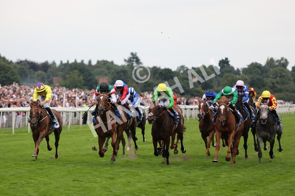 yr20082021r6-19 - Race 6 4.40pm Assured Data Protection British EBF Fillies' Stakes