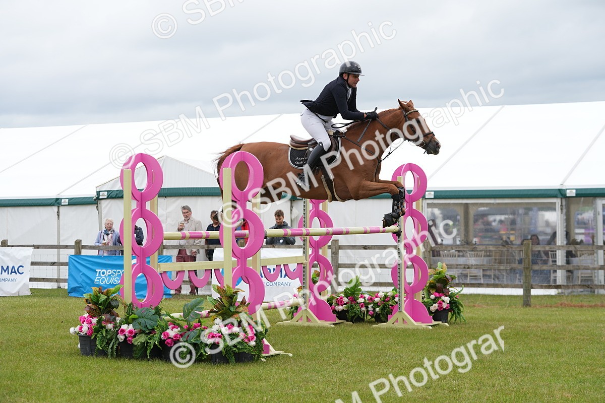 SBM_03034 - Class 201 - British Horse Feeds Speedi Beet Horse of the Year Show Grade  C