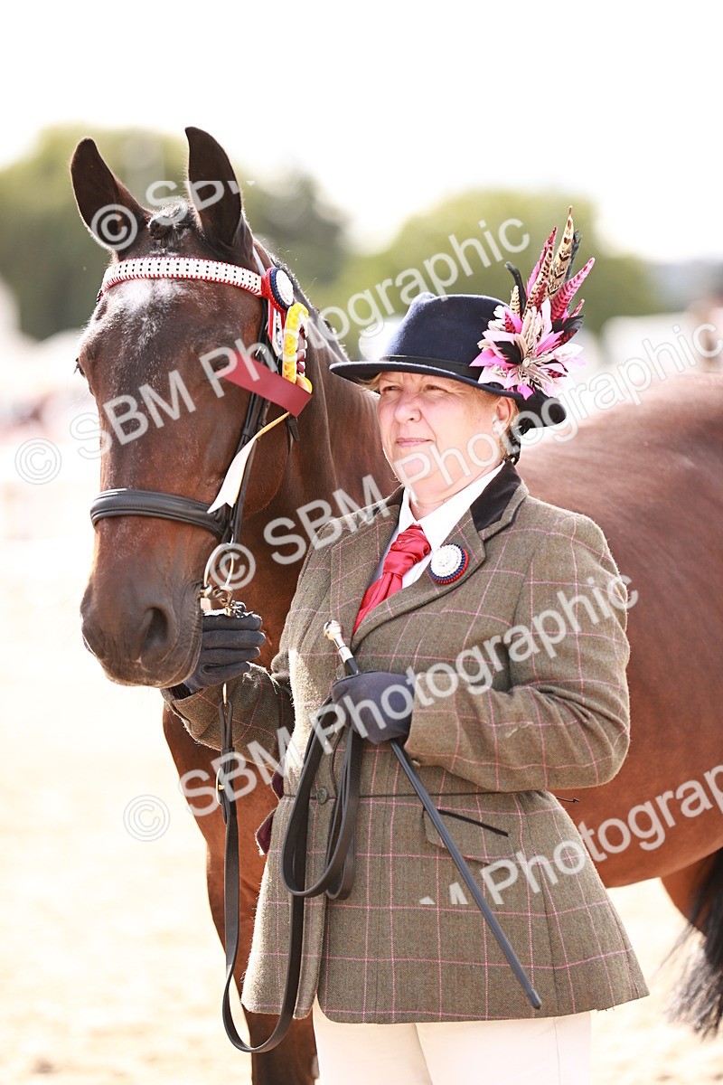 SBM_14238 - Class 407 - IH Hack Riding Horse