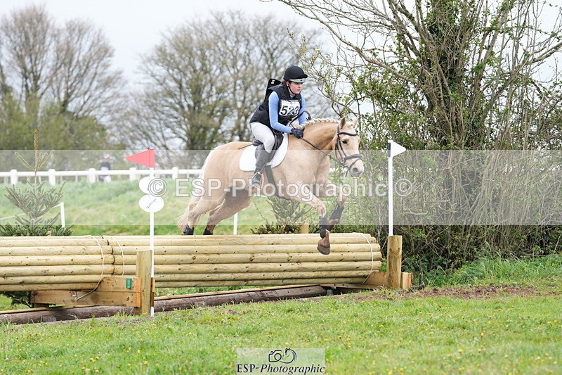 250419-130038-10031 - 523-Kate.Hicks-SWALLOWCROFT.STARDUST