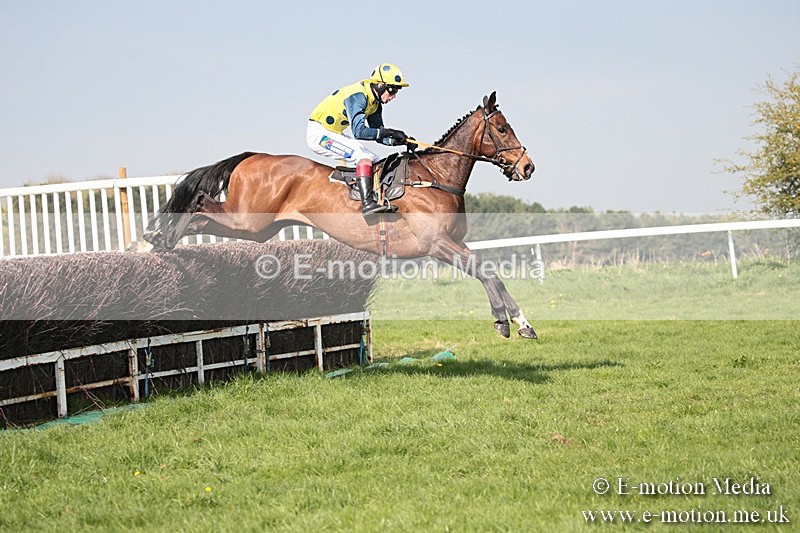 PtP 210418 450 - South & West Wilts Point-to-Point Larkhill 21/04/18