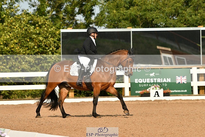 250817-093225-06959 - 049-Carolyn.GaleNewtown.Ringo