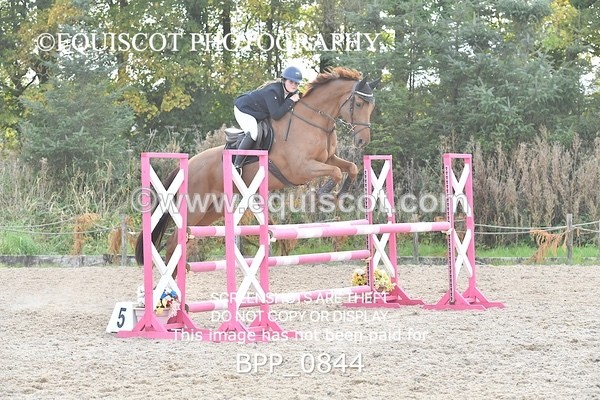 BPP_0844 - CLASS 8 SAT Senior Newcomers/ 1.10m Open