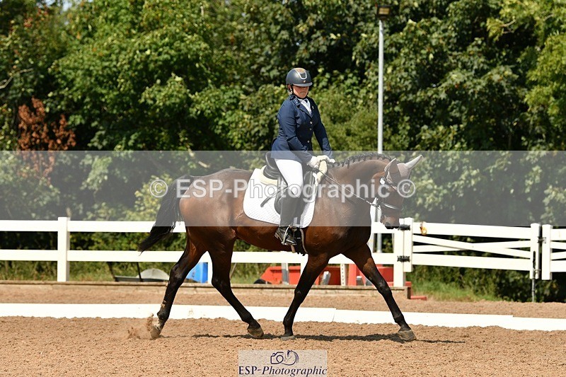 250817-133646-09998 - 033-Frankie.TorodeFirst.Impression.VI