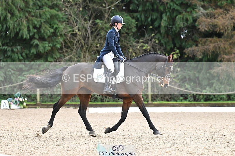 251023A-104738-01553 - B-131-Gemma.Gurvidi