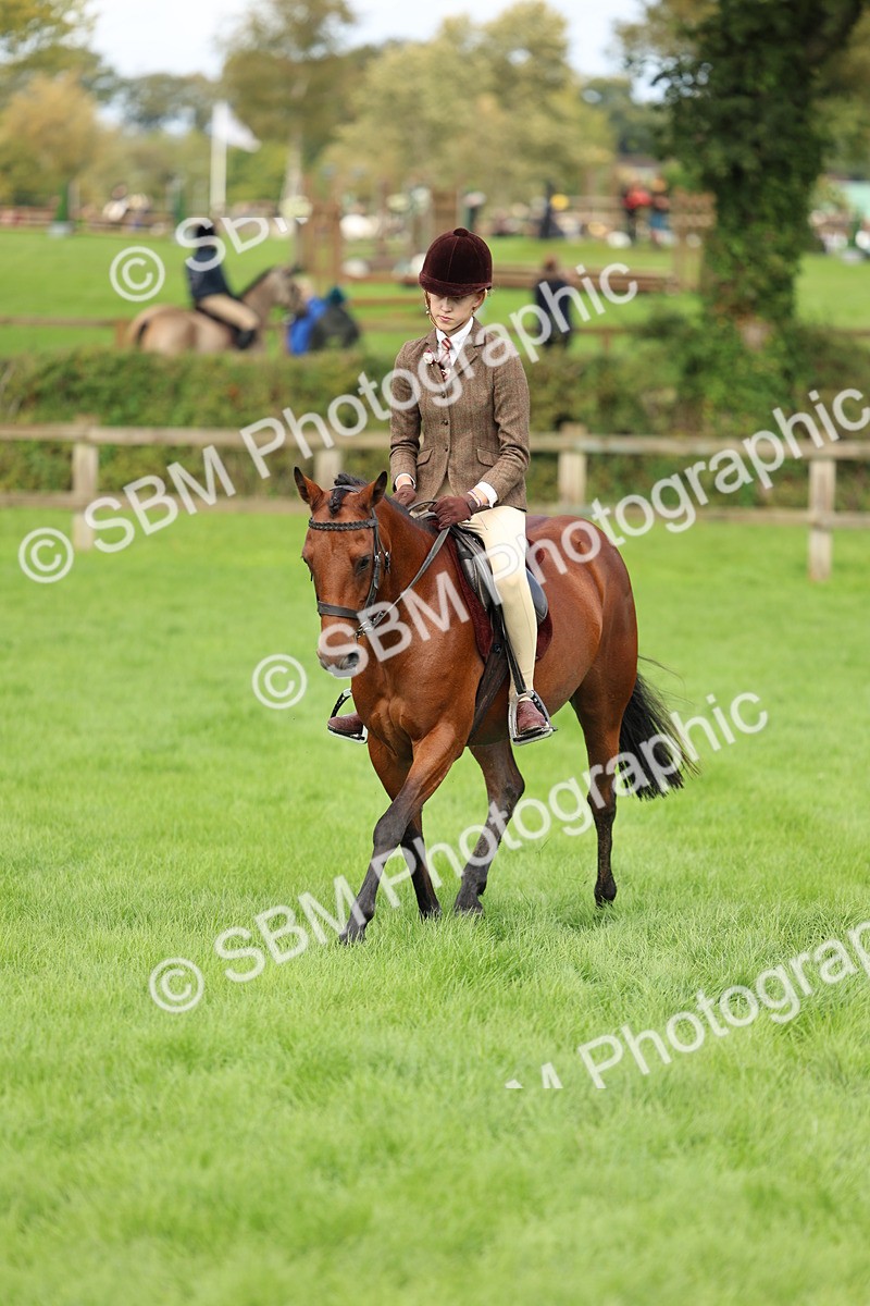 SBM_45395 - S33 - Working Hunter Pony