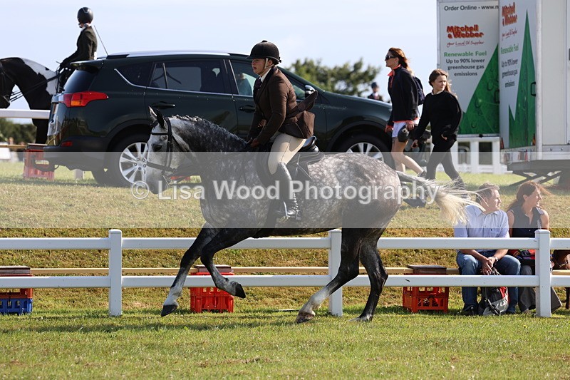 3E7A8653 - Class 3: Rising Star S/L Hunter