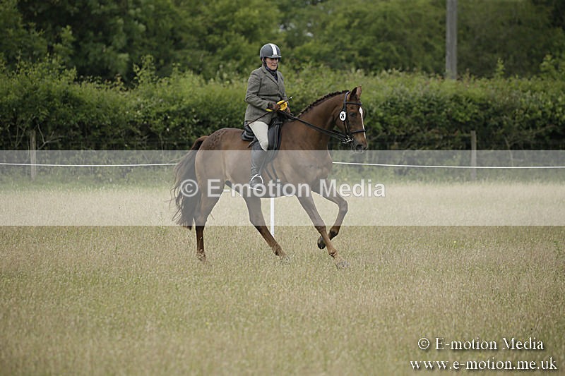 B230619-0365 - Bourne Valley Riding Club Summer Show 23/06/19