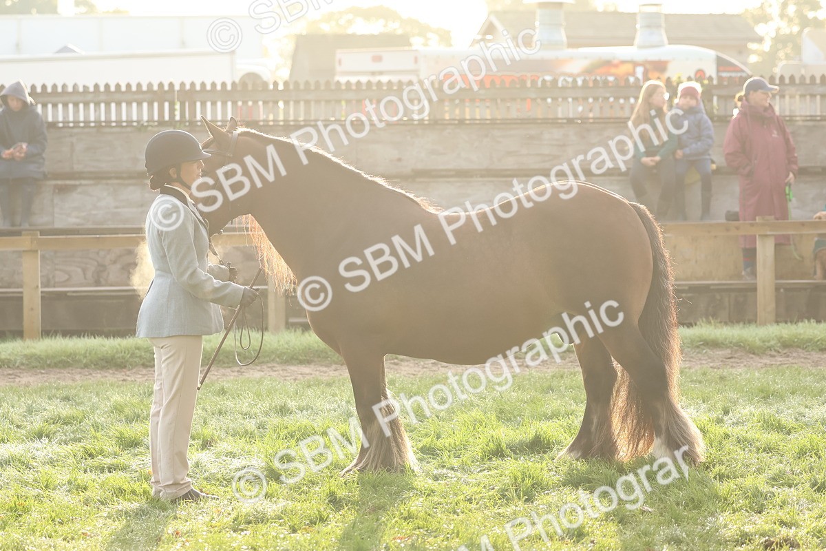 SBM_54535 - S38 - Starters Best Turnout