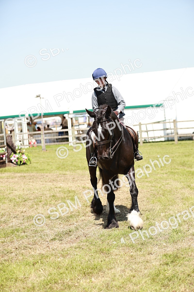 SBM_17369 - Class 110-111 - Training Stakes (70cms 80cms)