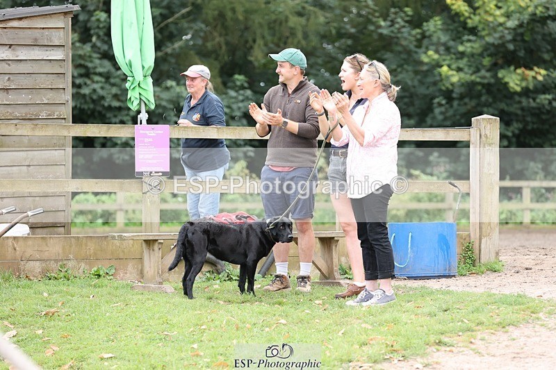 240810-170504-04535 - Elementary Silver