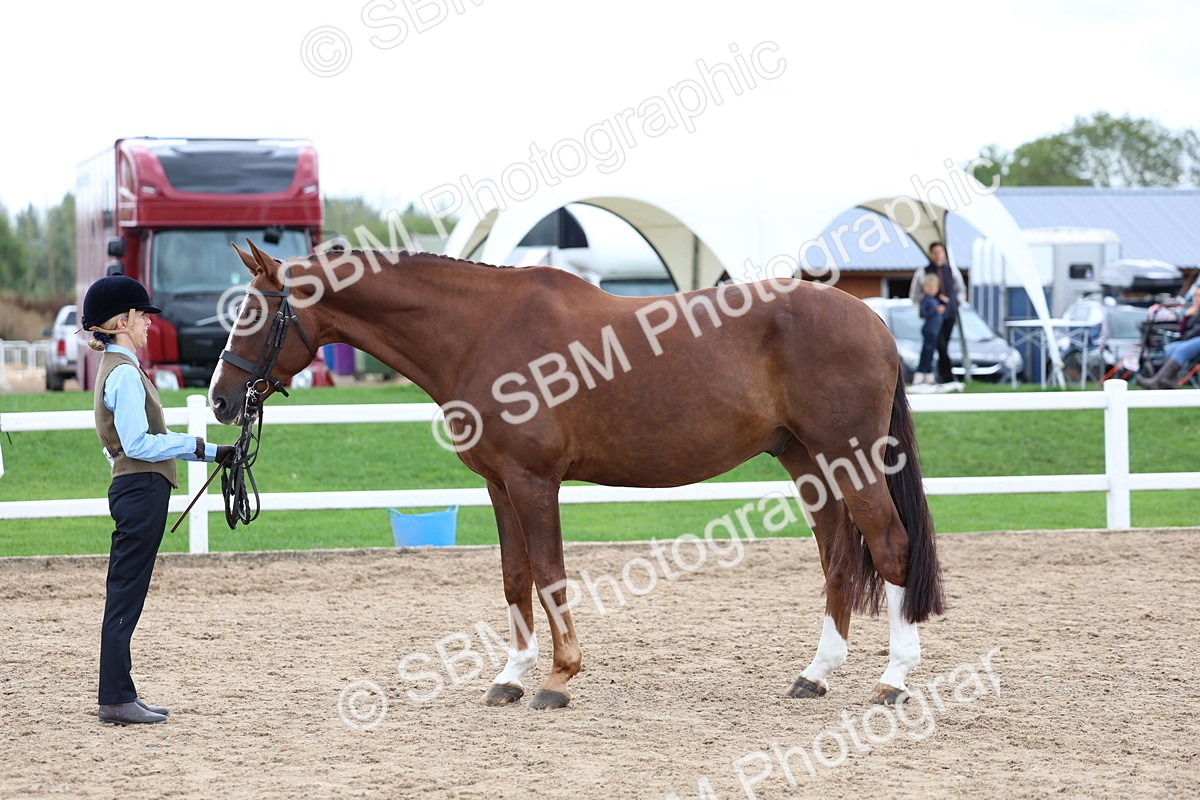 SBM_05055 - Class 27 - IH Competition Horse or Pony