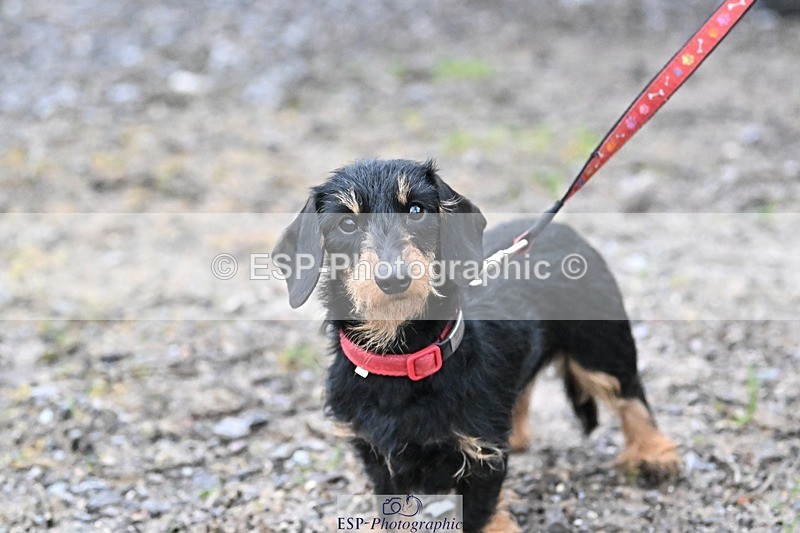 241206-144222-01126 - Naomi