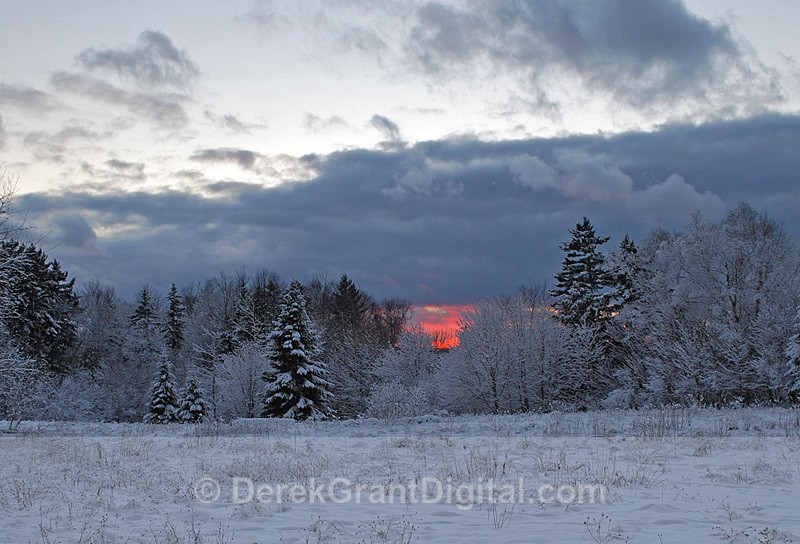 Winter Wonderland - Winterscape