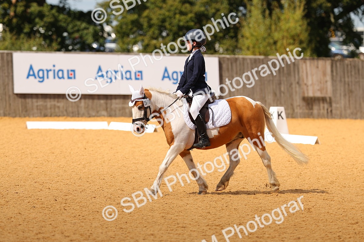 SBM_44112 - D22 - Junior Championship - Intro B