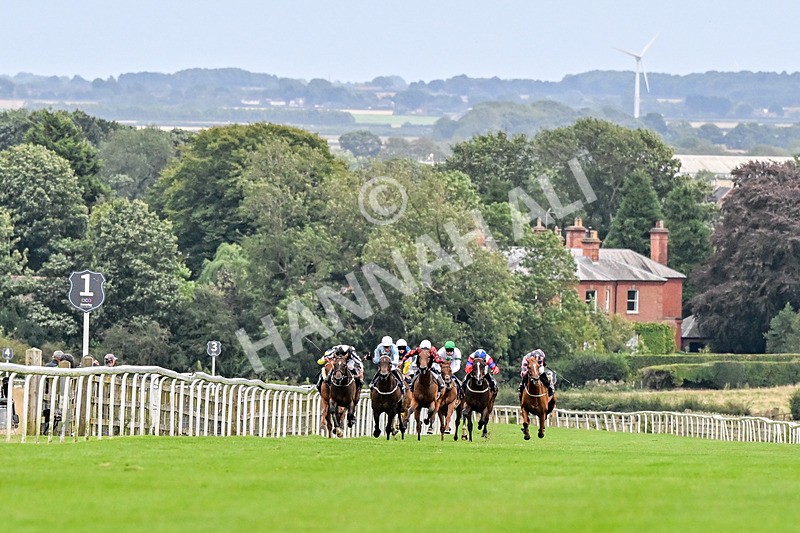 150824-Race 5-Pons Aelius-4243 - Race 5