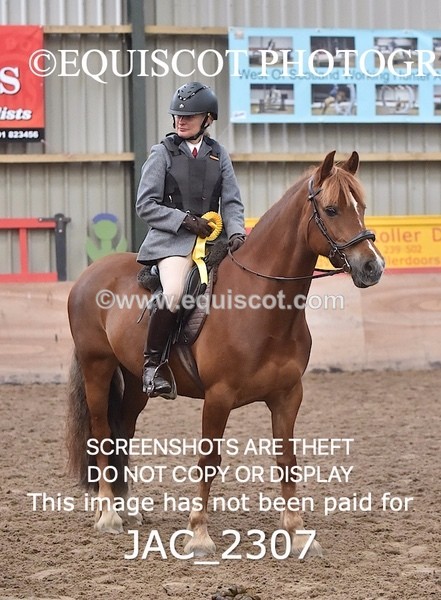 JAC_2307 - CLASS 2 Novice Working Hunter