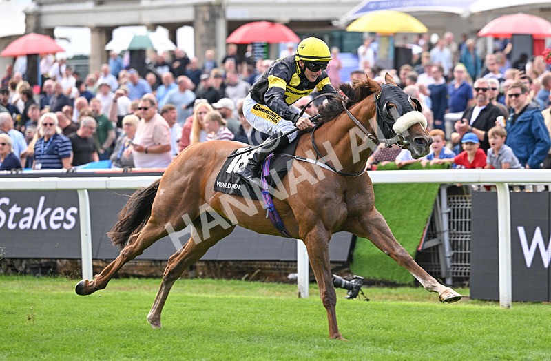 190826-014 Air Force One - Race 1 13.50pm Hong Kong Jockey Club World Pool Handicap