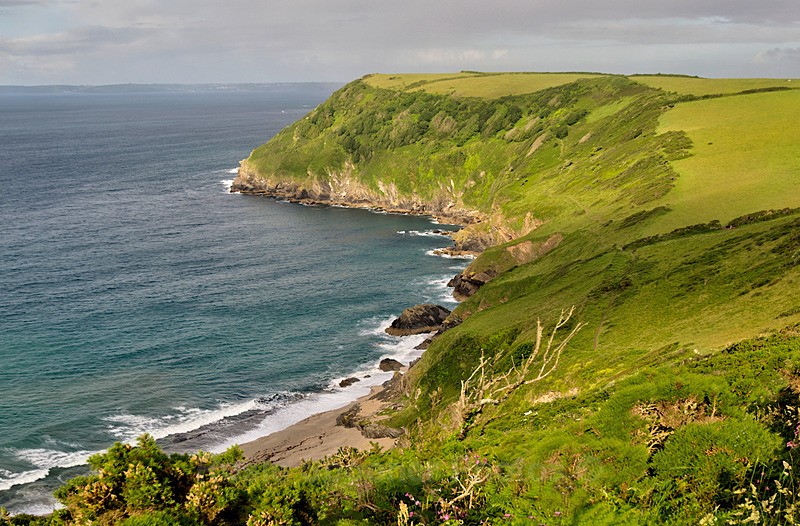 Lantic Bay from the coast path in South East Cornwall - Greetings Cards - Cornwall  and Devon Misc