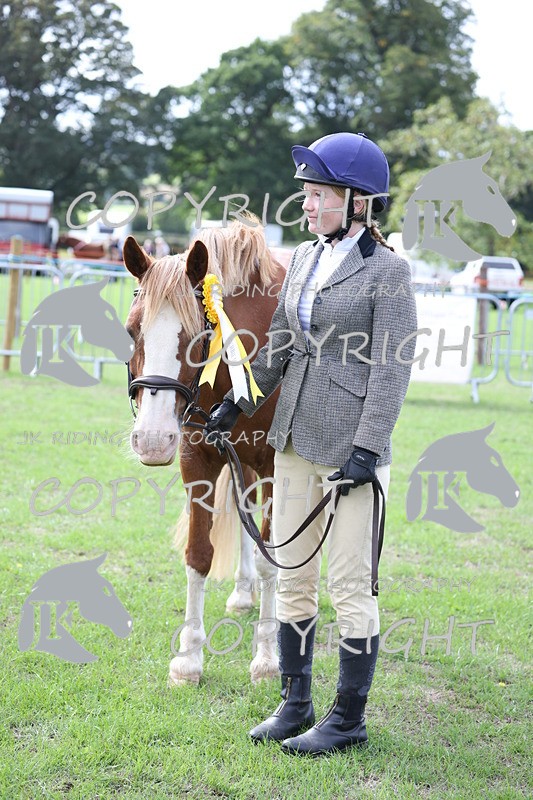 APP_2673 - Class 9 Veterans in hand